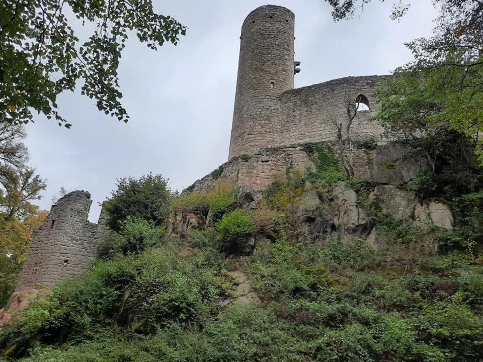 Studio Soleil Au Hohwald Exteriör bild