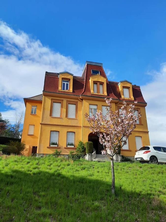 Studio Soleil Au Hohwald Exteriör bild