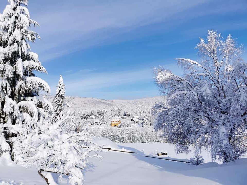 Studio Soleil Au Hohwald Exteriör bild
